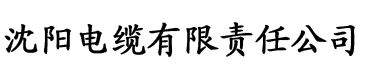 叔叔的变身药水林晓婷电缆厂logo